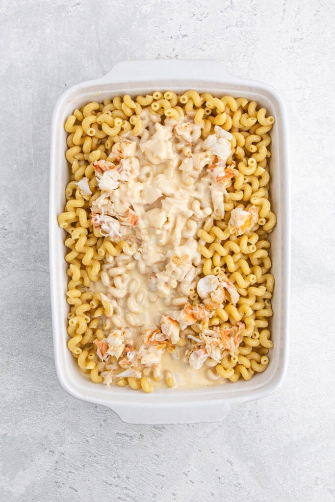 Cheese sauce with lobster added to pasta in a baking dish