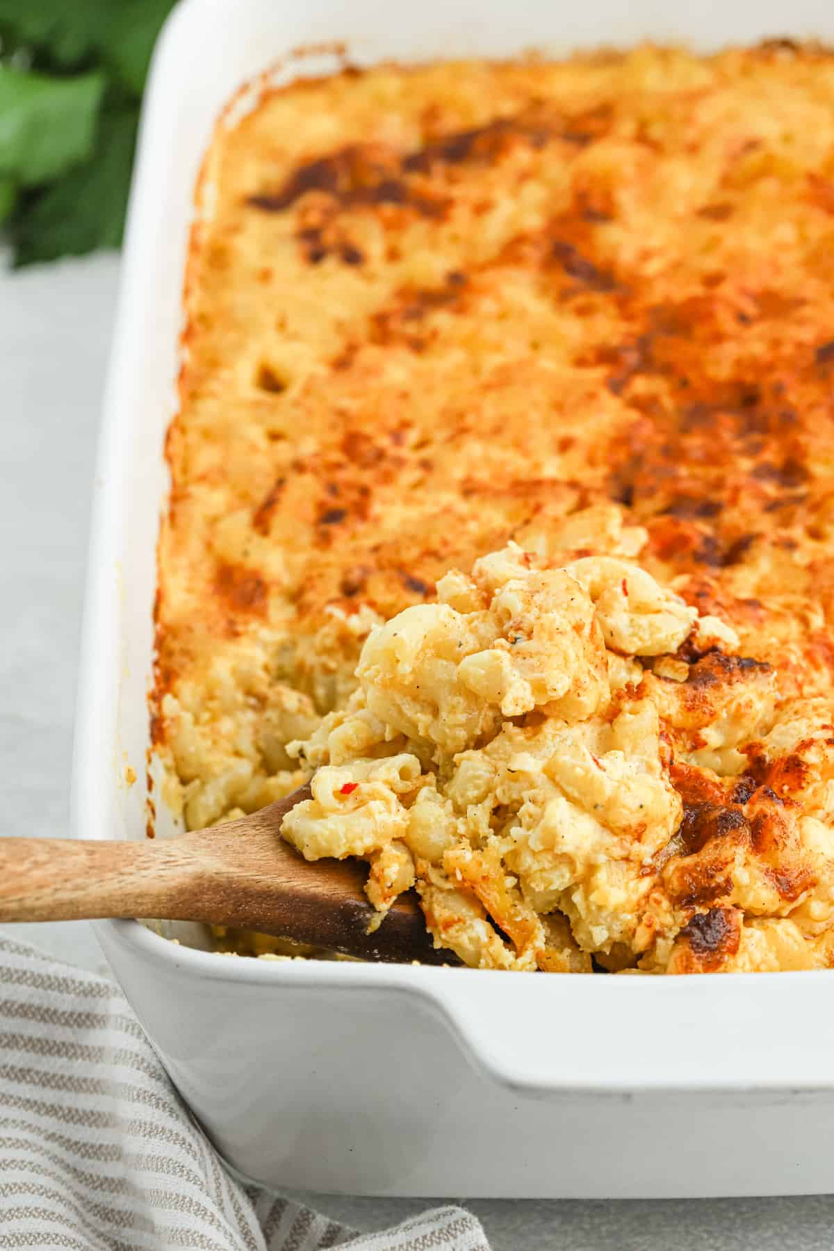 Mac and cheese being lifted from a white casserole dish on white background