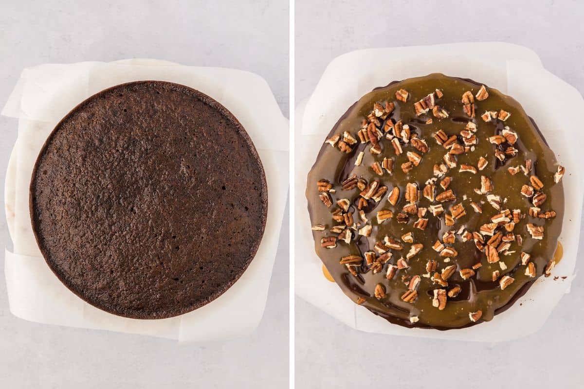 A collage of images showing the steps to assemble the turtle chocolate cake