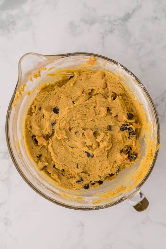 Completed cookie dough with pumpkin and chocolate chips