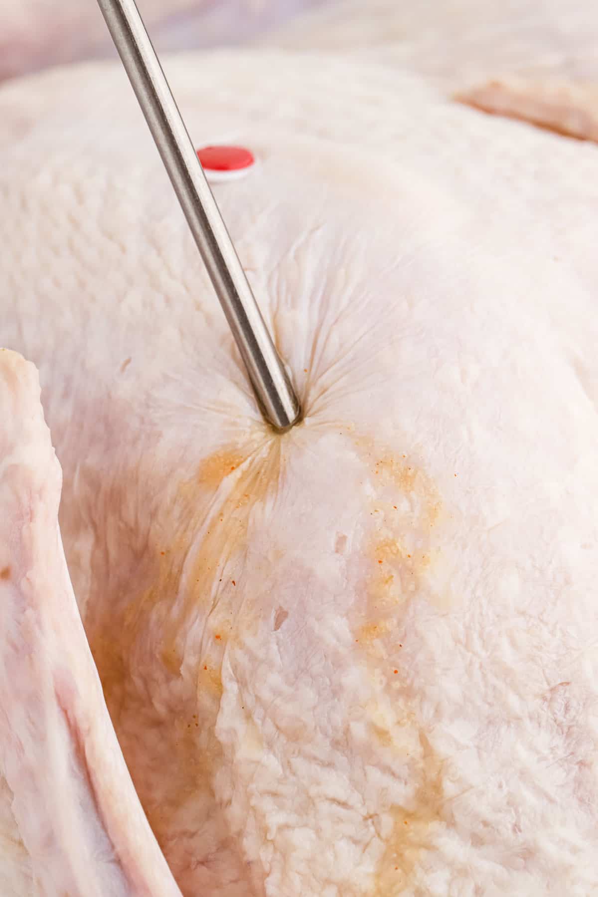 Close-up of a meat injector being inserted into the turkey breast