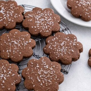 chocolate sugar cookies ready on a white background