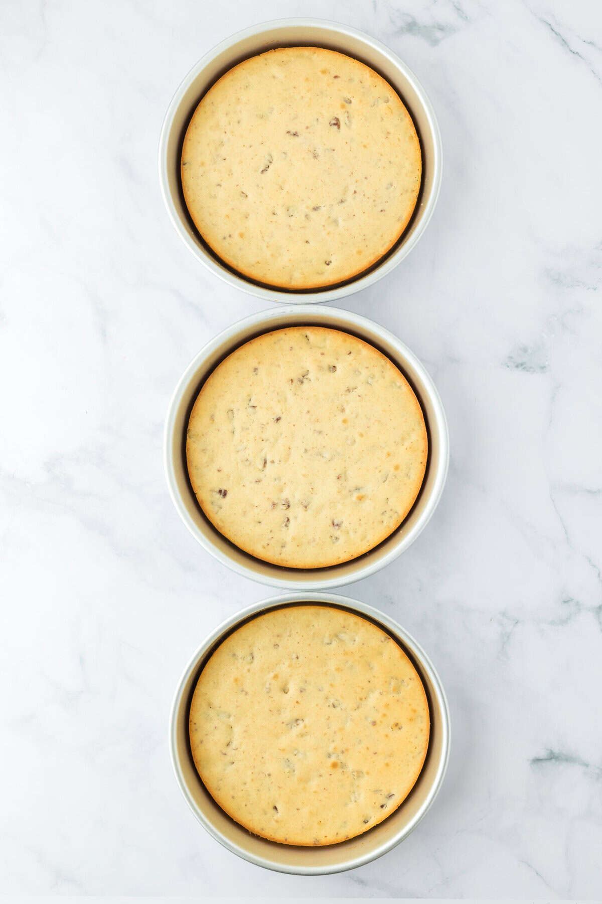 Baked pecan cake layers in round pans on white background