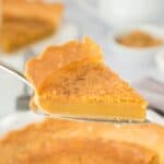 vinegar pie slice coming out of the pie on a white background