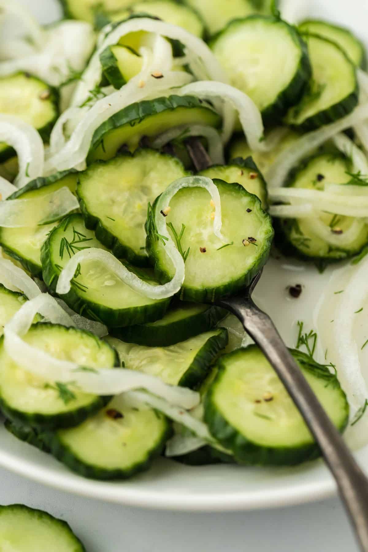 Closeup of a cucumber and onion salad garnished with fresh dill on a white bowl. A fork rests on the edge of the white bowl holding the salad