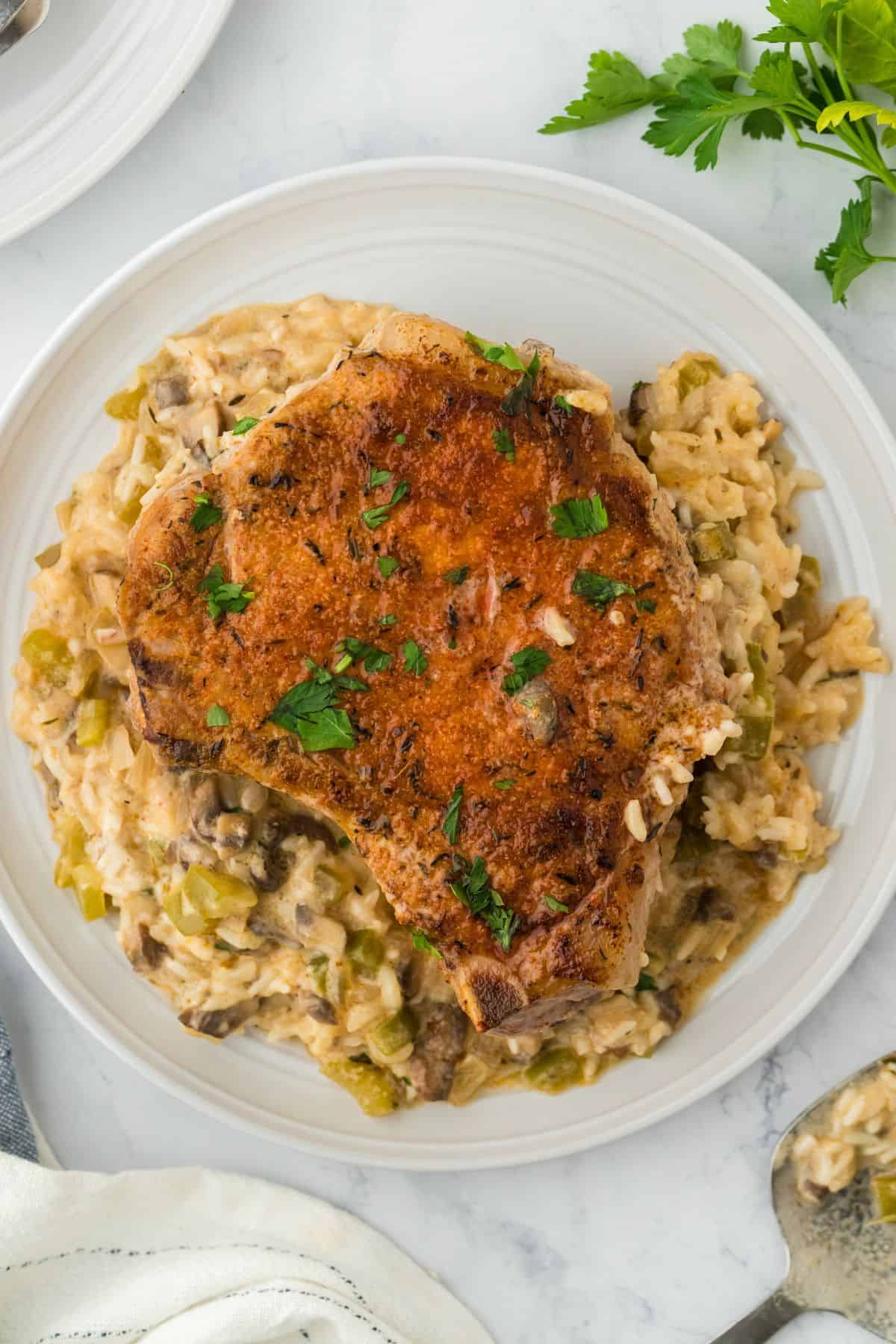 Overhead shot of a serving of pork chop casserole in a white, round plate. A small sprig of fresh parsley is visible in the top right corner, and a silver spoon rests on the marble surface next to the plate