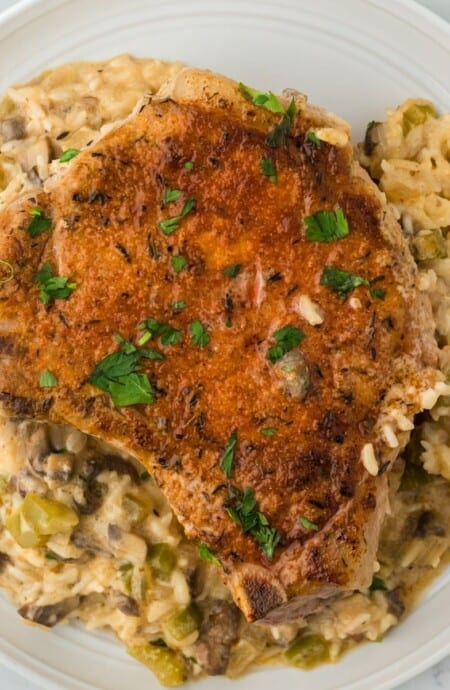 Overhead shot of a serving of pork chop casserole in a white, round plate