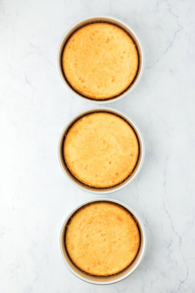 Baked cake layers before icing with caramel