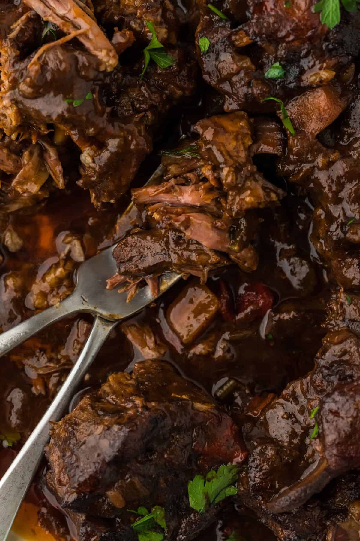 Close up of Jamaican oxtail stew, showing the tender meat and rich, dark gravy. Two forks are pulling apart a piece of oxtail