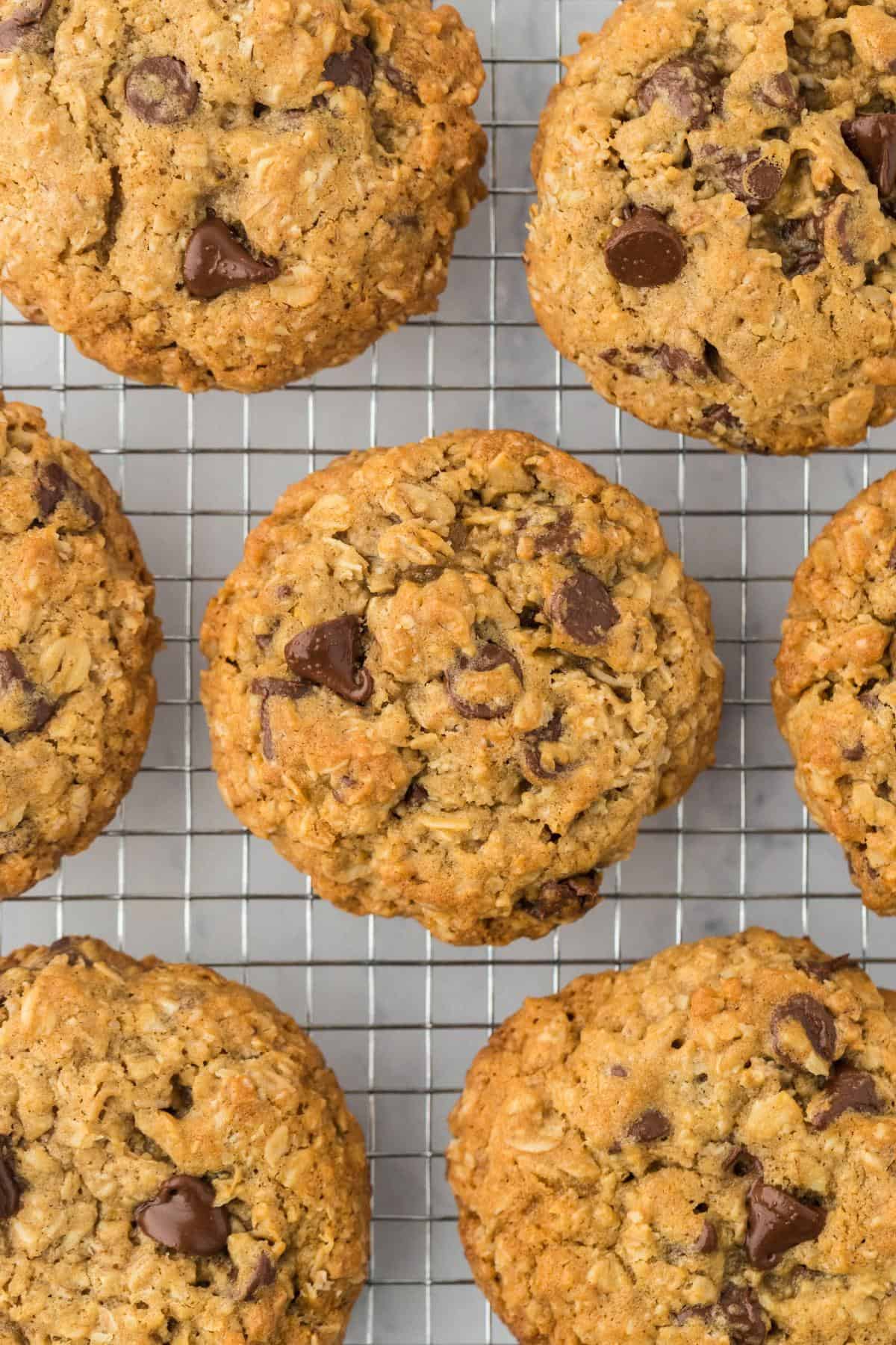 Overhead shot of baked oatmeal chocolate chip cookies cooling on a wire rack