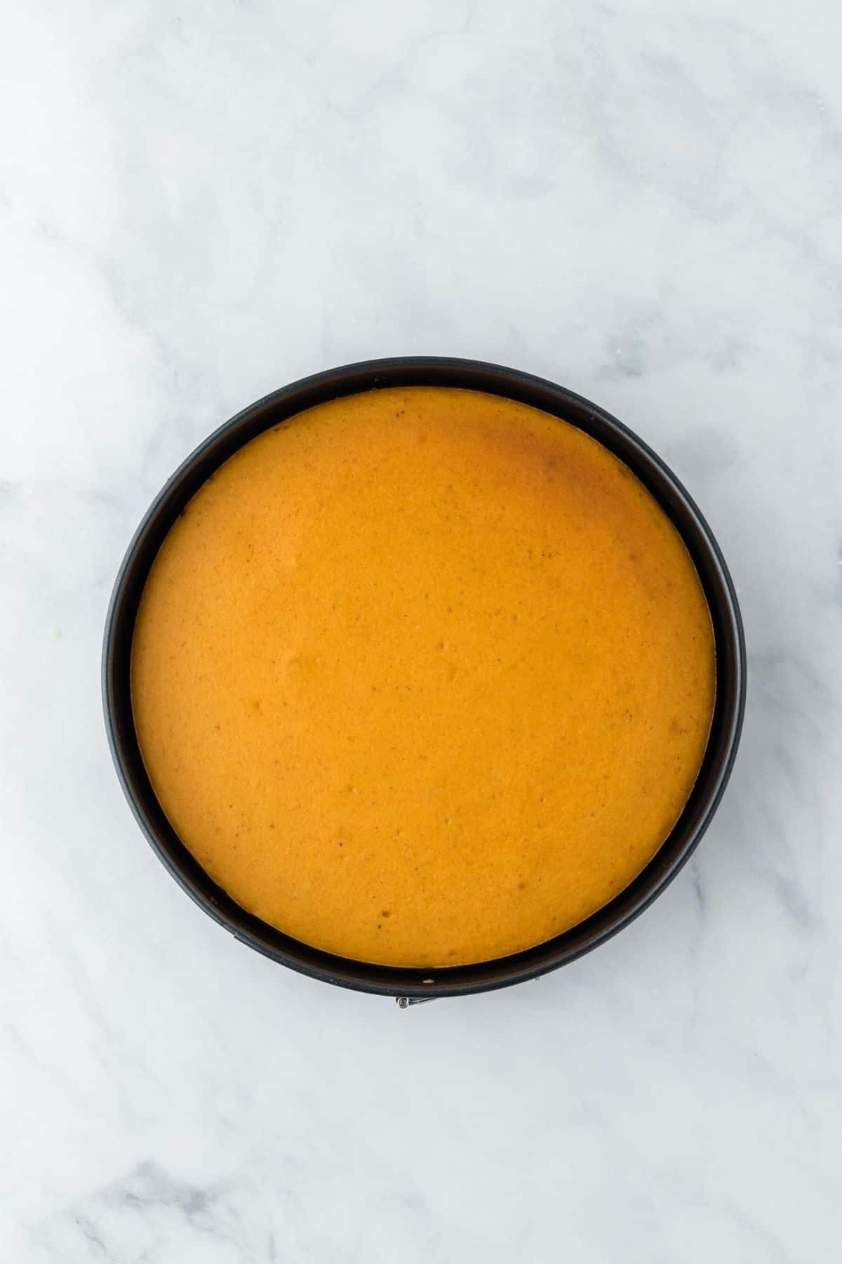 A round, smooth pumpkin cheesecake in a springform pan, freshly baked