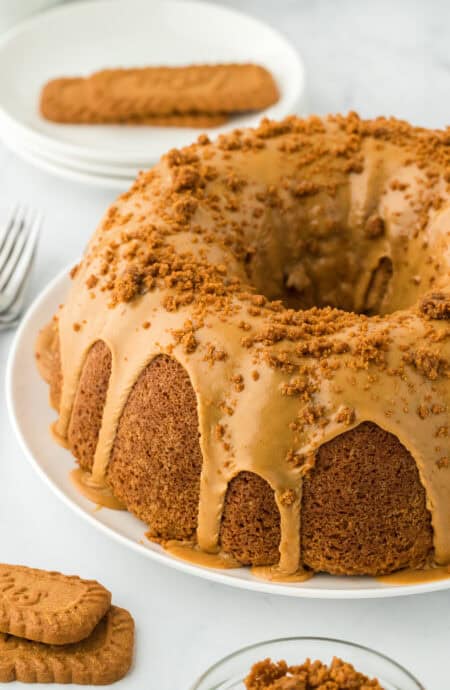 biscoff cake made with cookie butter and cookie butter icing