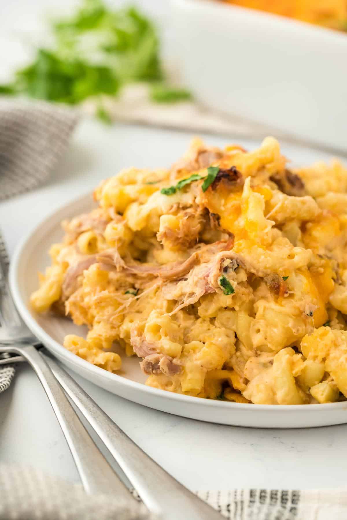 A closeup of a creamy, cheesy serving of pulled pork mac and cheese on a white plate, garnished with parsley