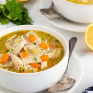A bowl of rolled dumplings and chicken ready to eat