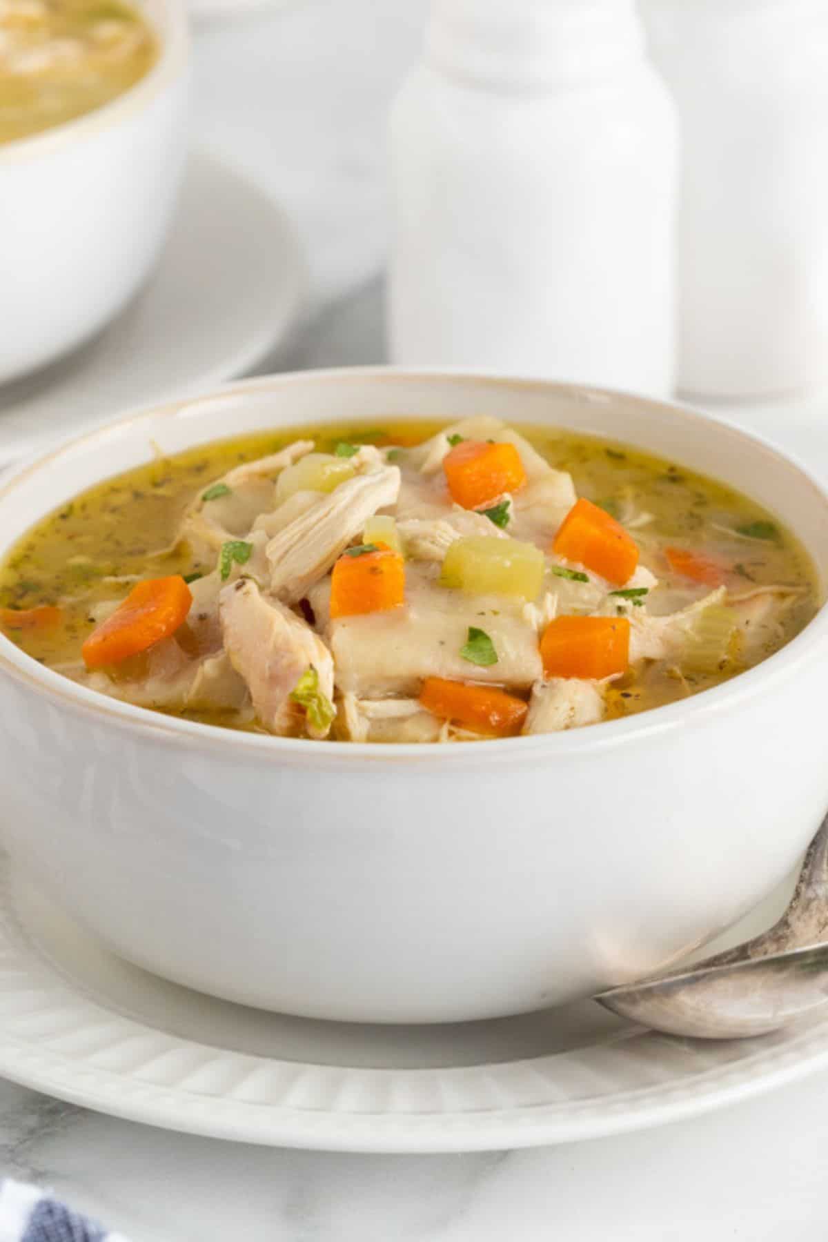 Closeup of a bowl of chicken and rolled dumplings soup with carrots and celery, garnished with fresh herbs