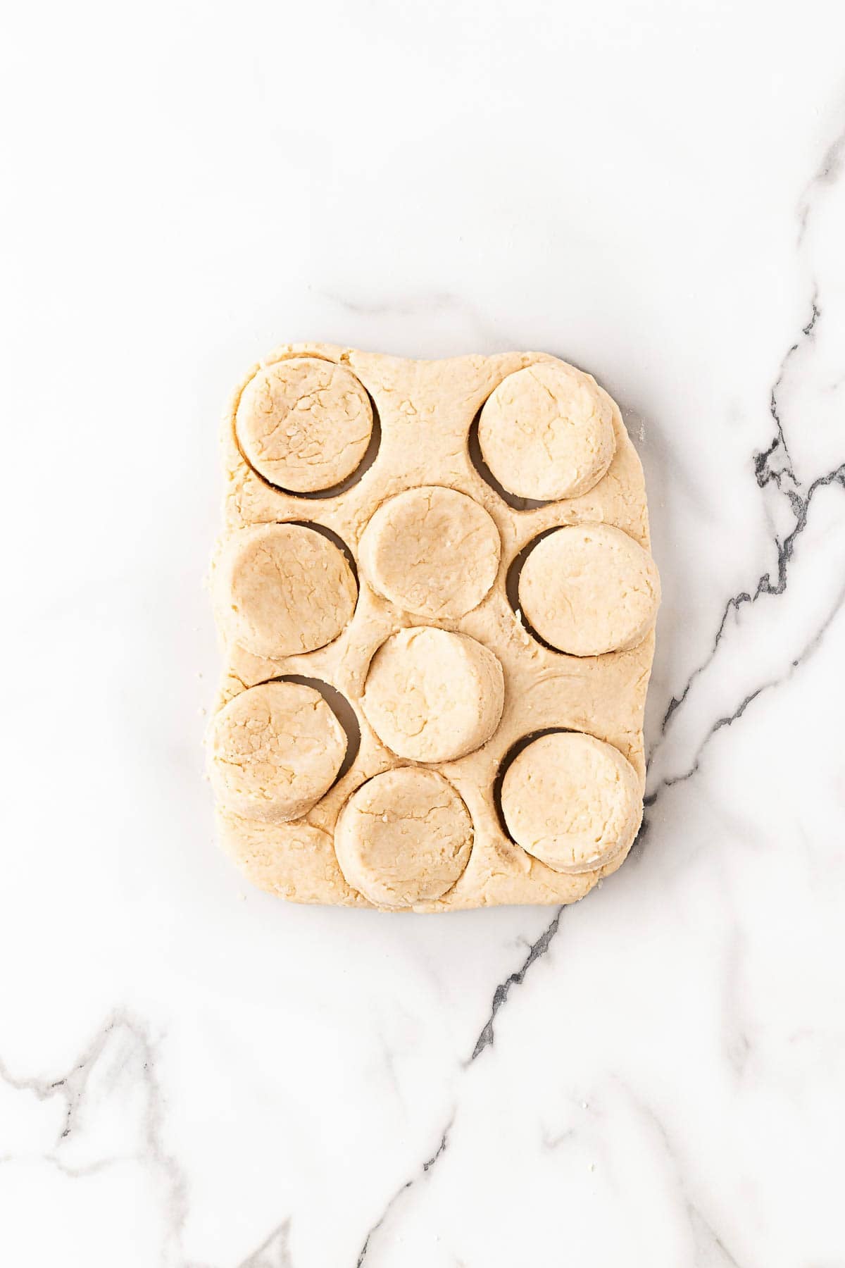 Biscuit dough cut into rounds on floured surface