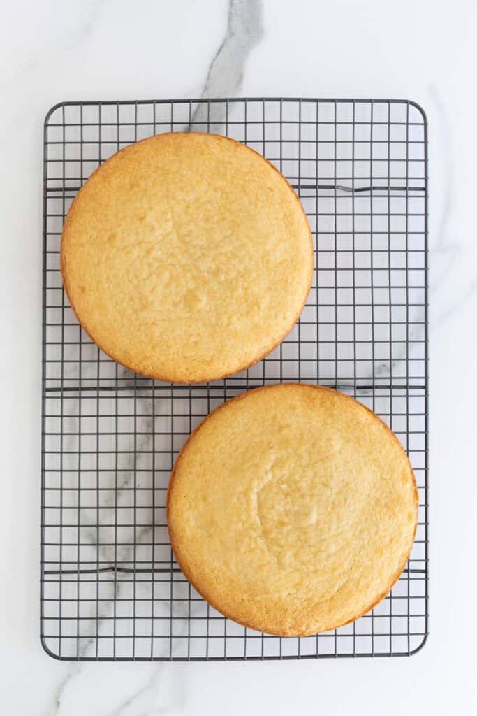 Layers of vanilla cake after baking on wire rack cooling