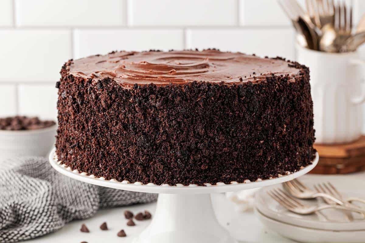 Decadent chocolate cake with crushed cookie crumb coating and smooth chocolate frosting.