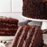 Brooklyn Blackout chocolate layer cake with rich frosting on white plate.