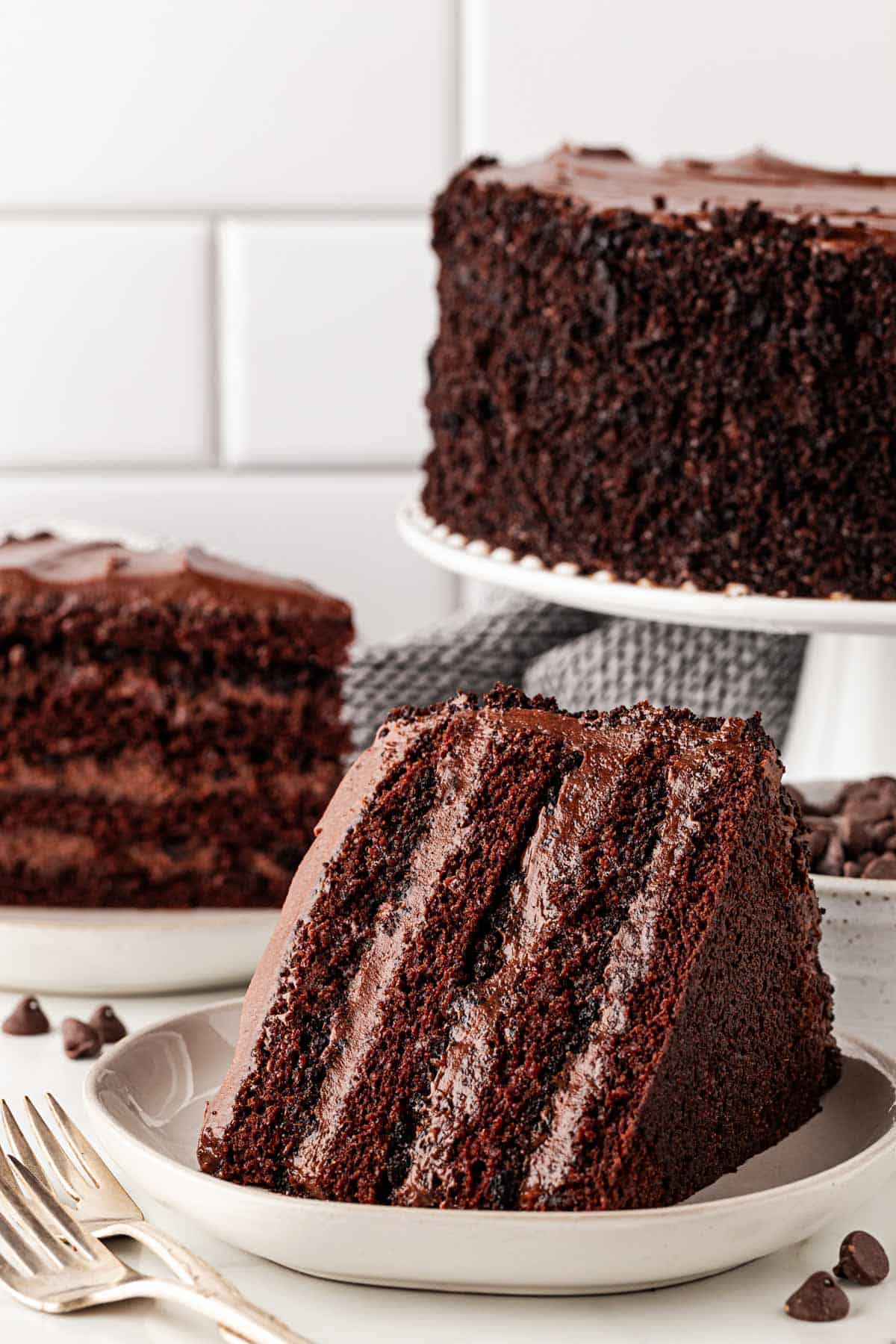 Decadent chocolate layer cake with rich frosting on white plate.