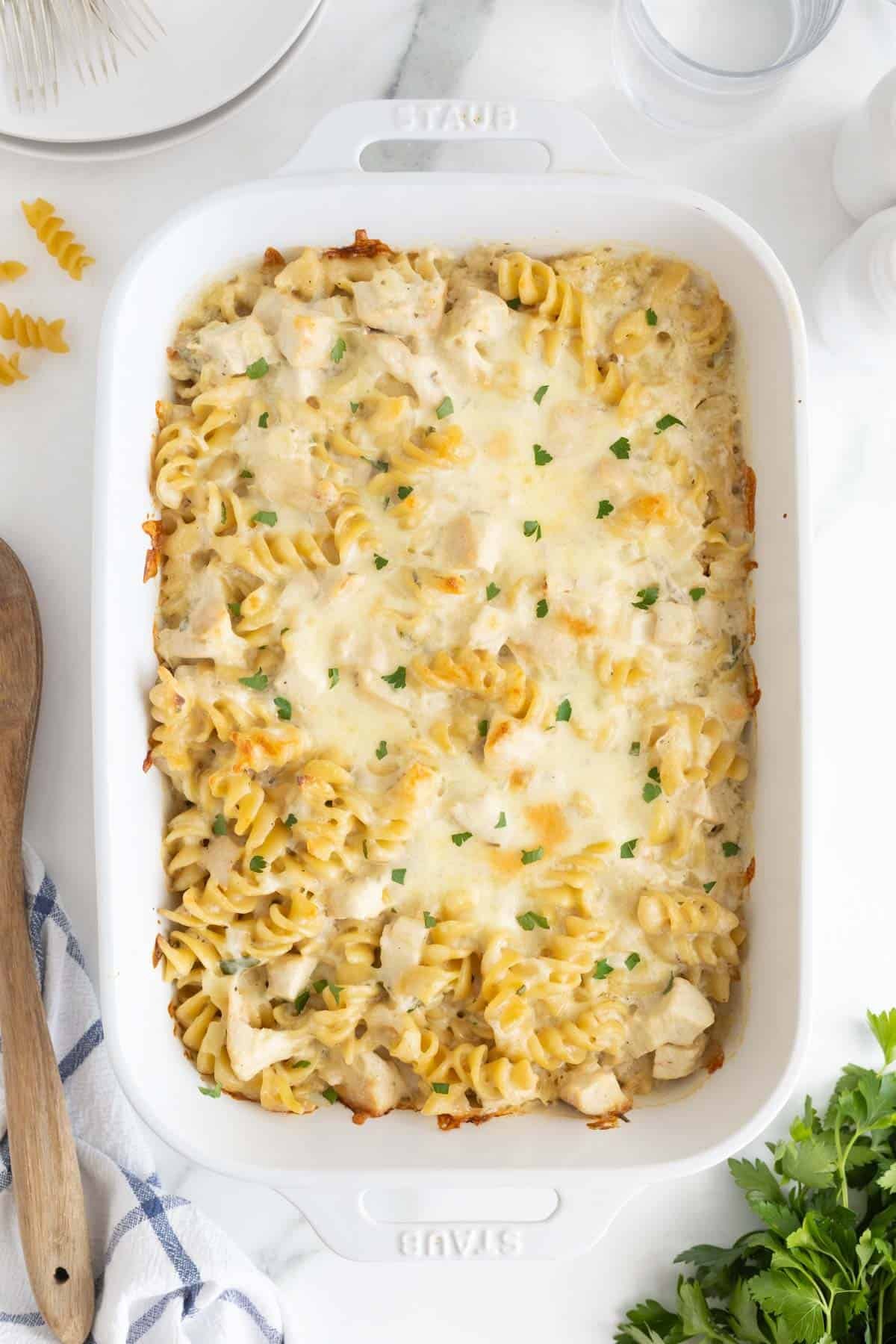 Finished baked chicken alfredo casserole in a white dish, golden and bubbling with melted cheese and parsley garnish