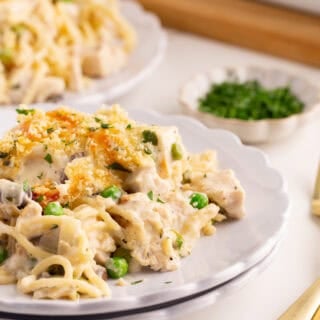 Closeup of a plate of turkey tetrazzini highlighting the creamy noodles and golden breadcrumb topping