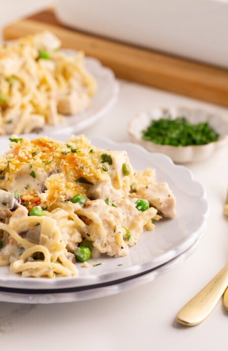 Closeup of a plate of turkey tetrazzini highlighting the creamy noodles and golden breadcrumb topping