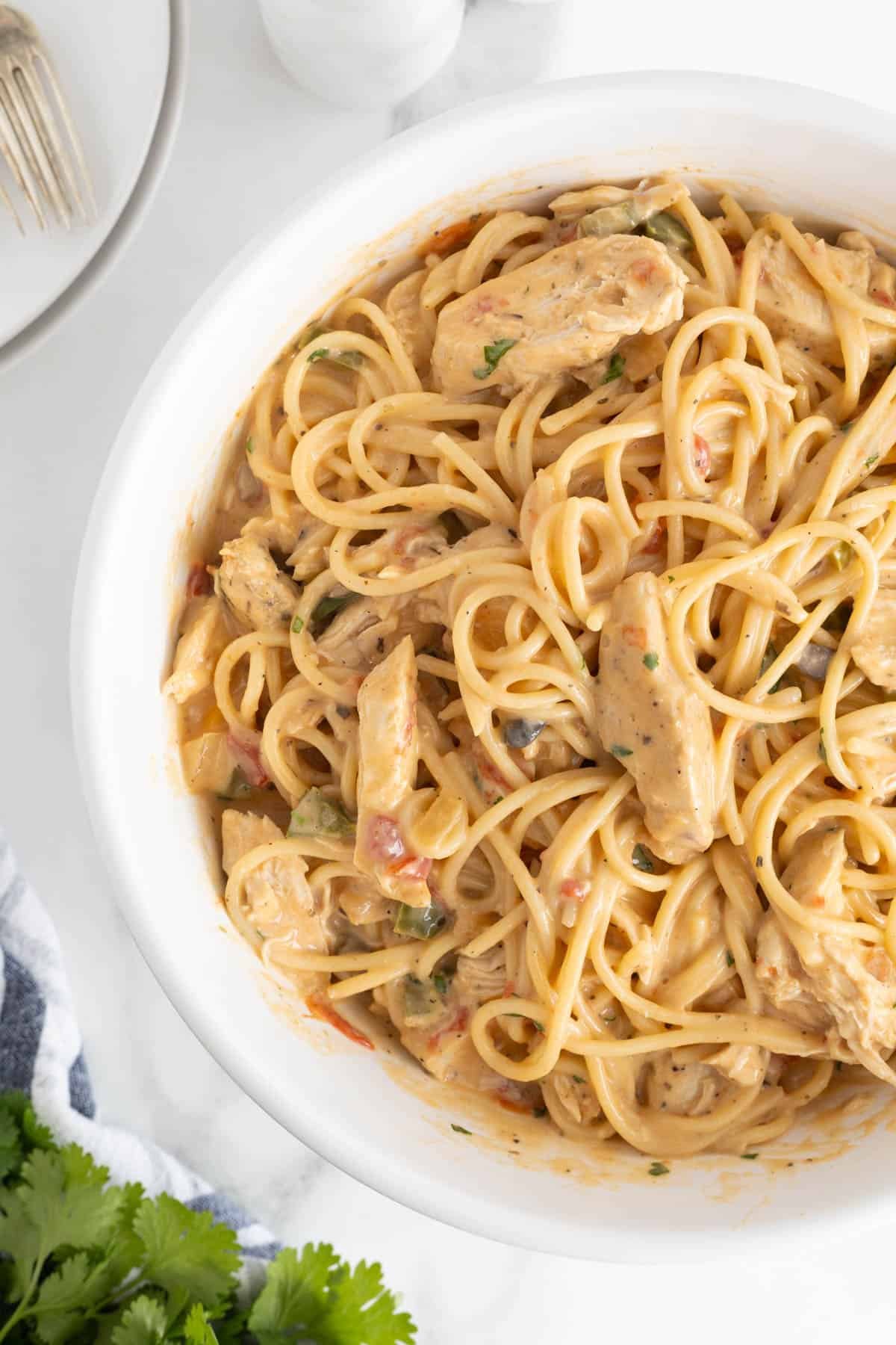 Closeup of creamy chicken spaghetti with tender noodles and chunks of chicken
