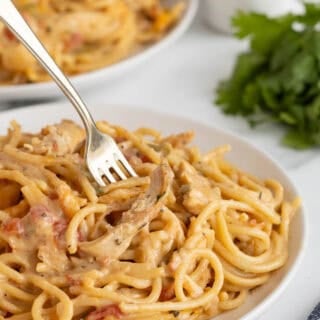 Creamy chicken spaghetti served on a plate with a fork
