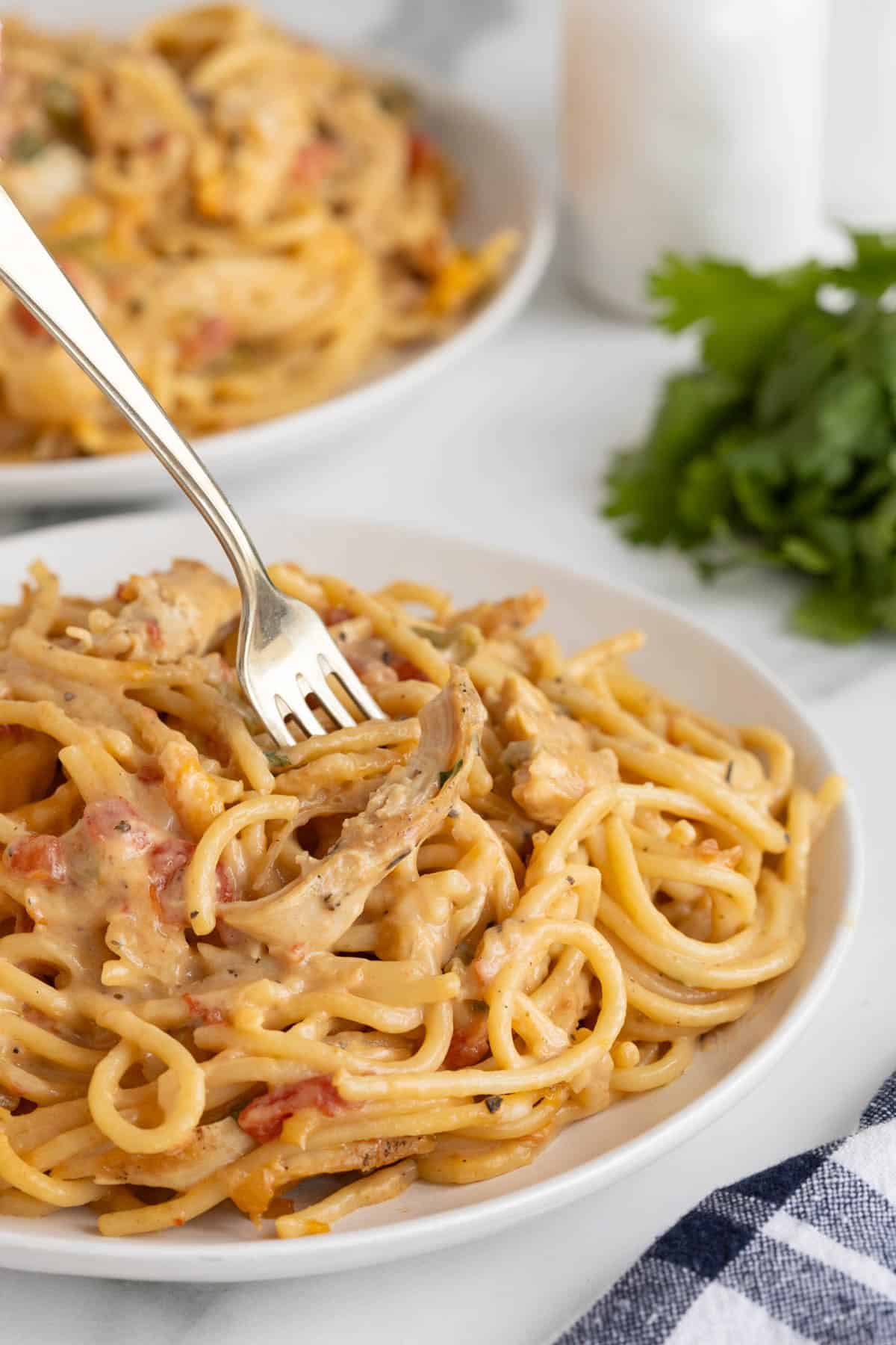 Creamy chicken spaghetti served on a plate with a fork