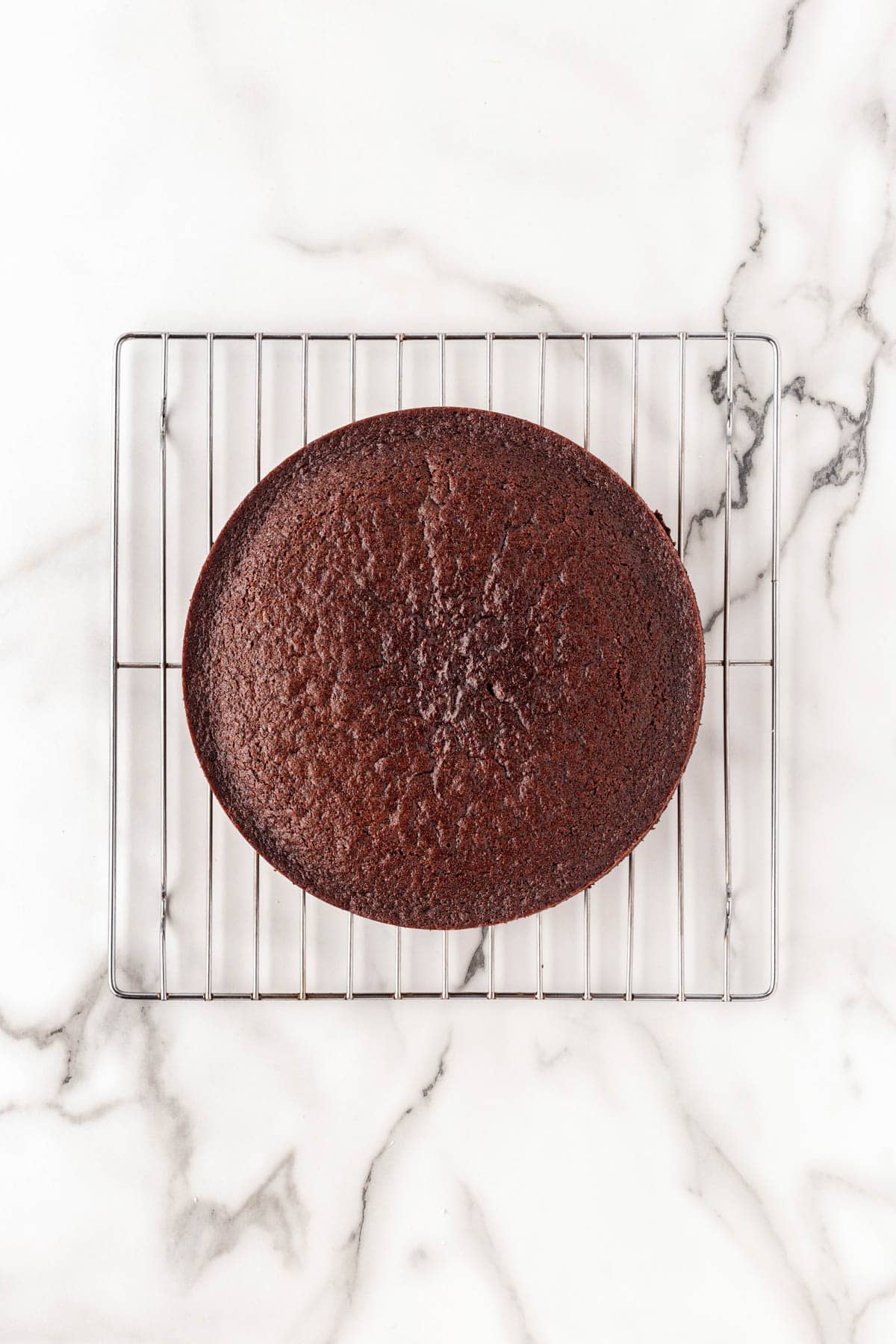 Baked chocolate cake layer cooling on a wire rack