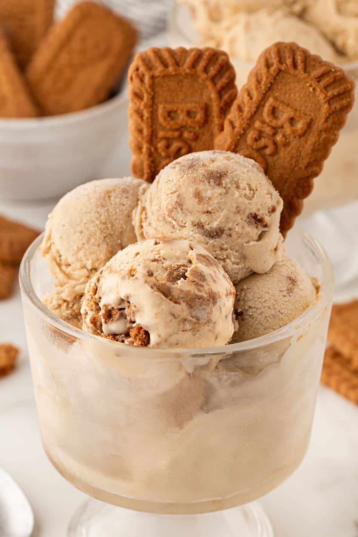 Scoops of Biscoff ice cream in a glass dessert cup topped with Biscoff cookies, with more cookies in the background