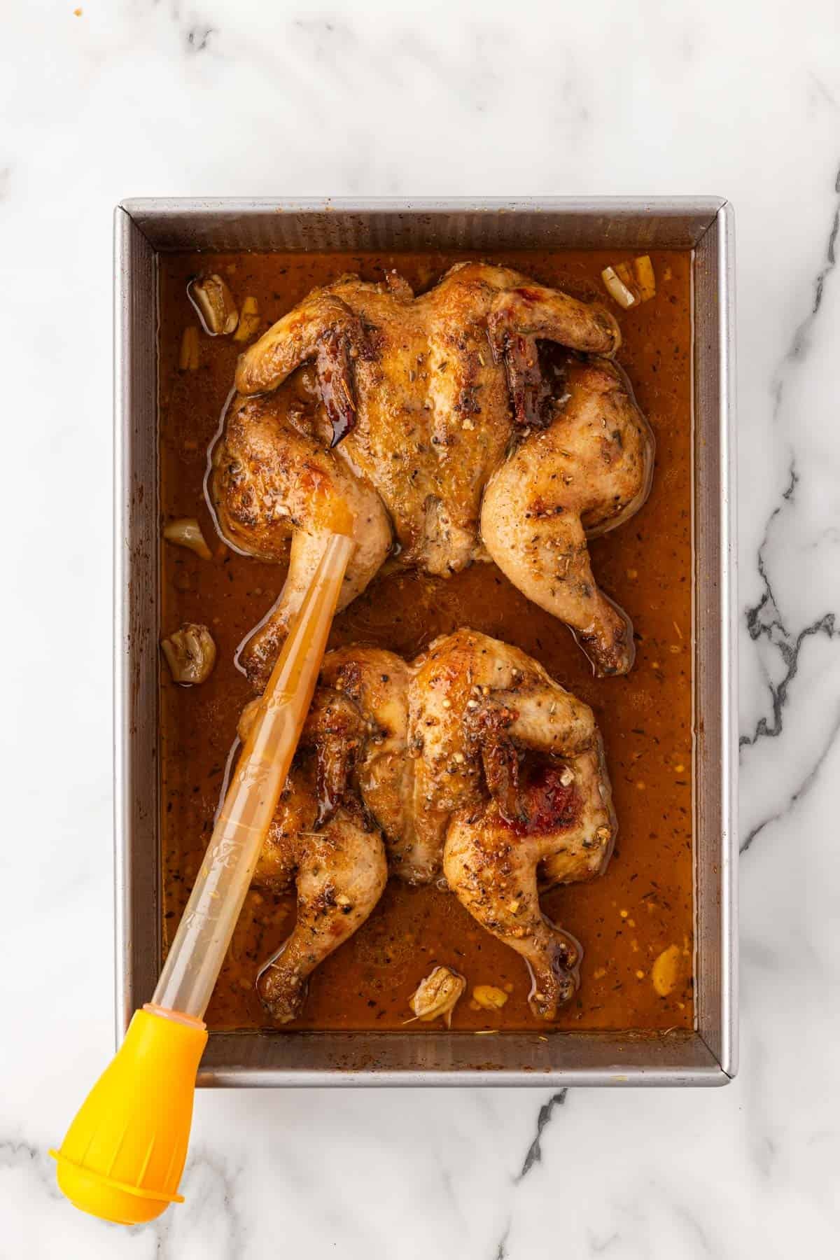 Two golden brown roasted Cornish hens in a baking pan with pan juices, garlic cloves, and a yellow turkey baster