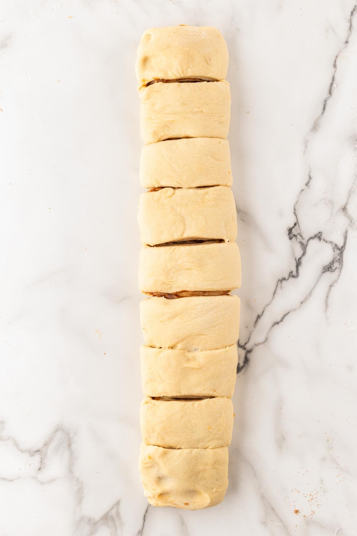 Sweet potato cinnamon roll dough rolled into a log and cut into pieces